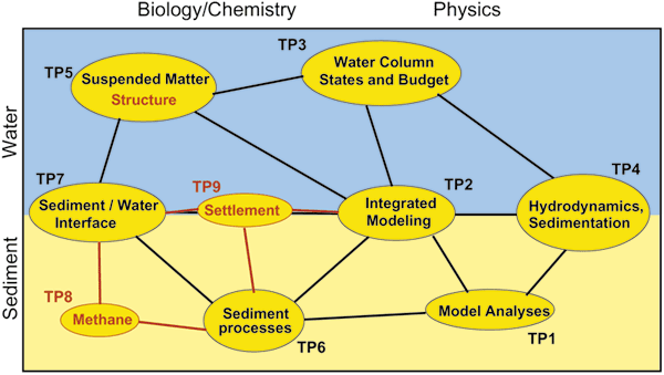 schema