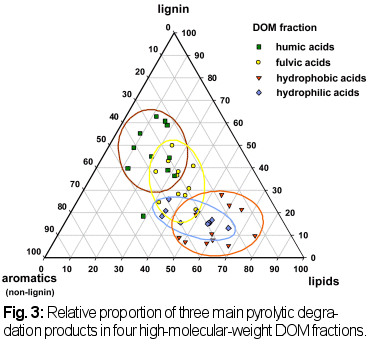 pyrolytic degradation products