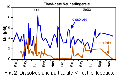 Dissolved and particulate Mn at the floodgate
