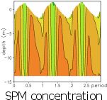 SPM Concentration