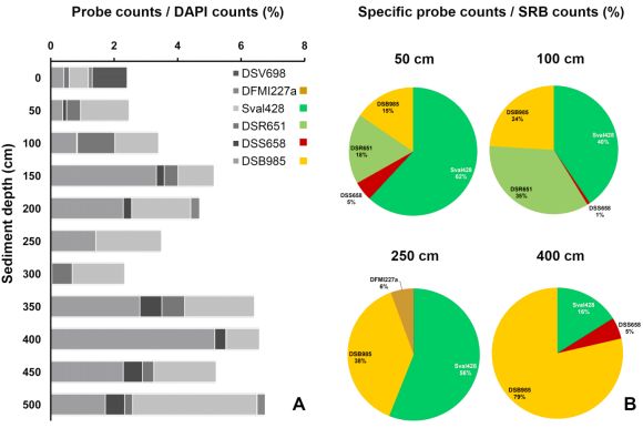 Probe counts